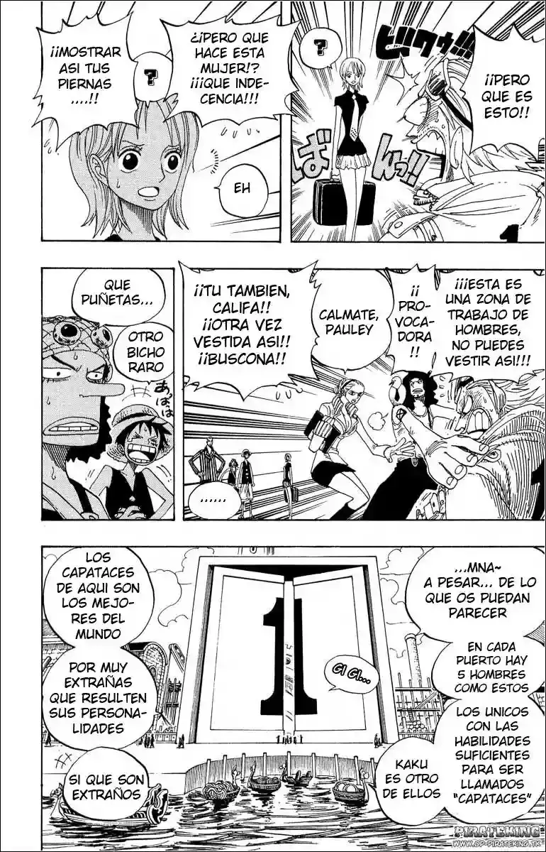 One Piece Capitulo 327 página 13