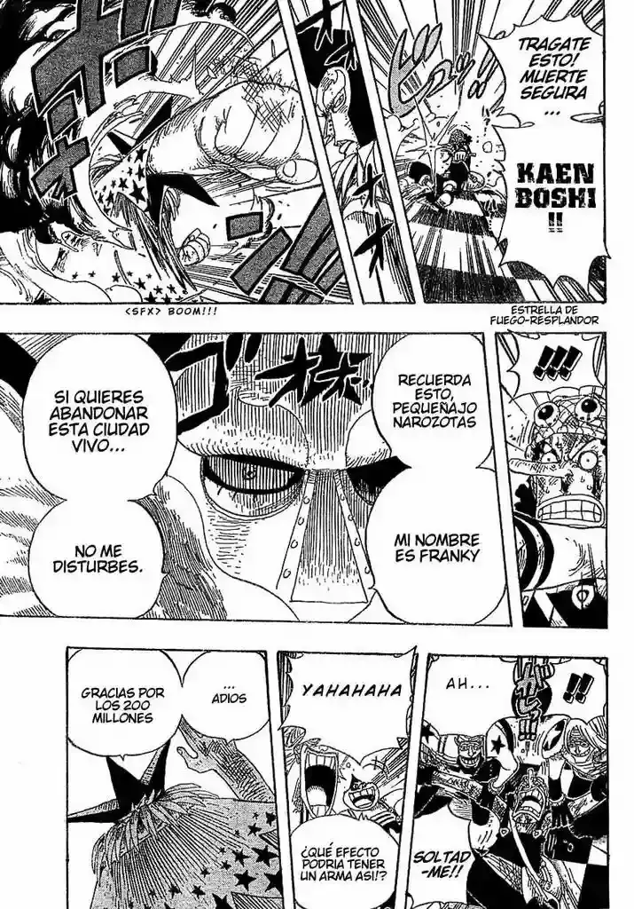 One Piece Capitulo 329 página 13