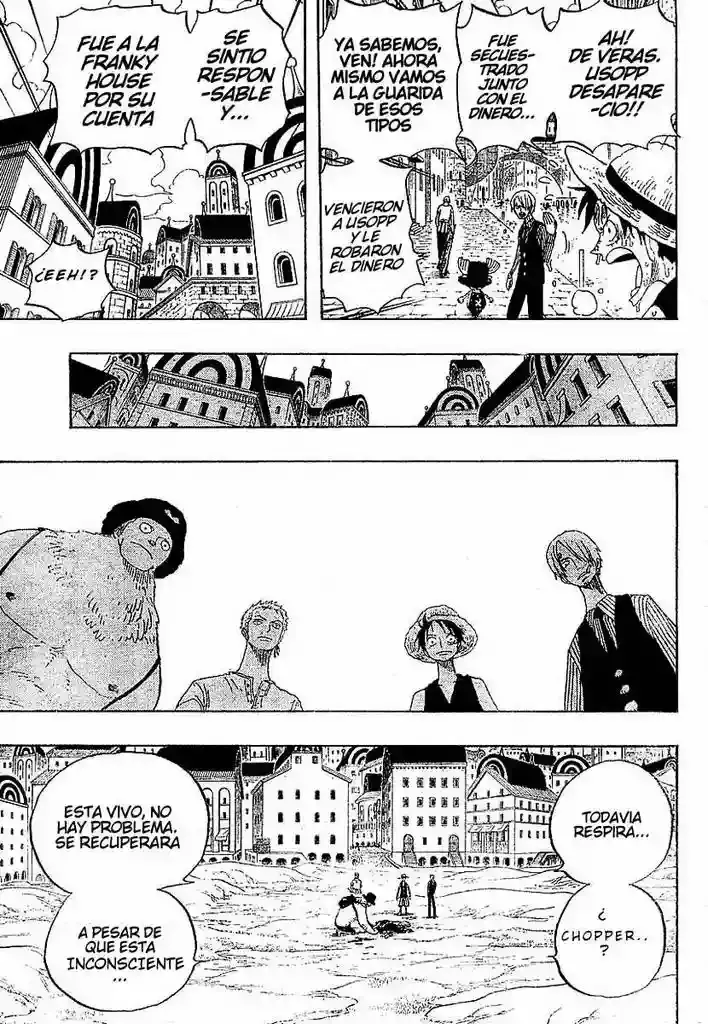 One Piece Capitulo 329 página 17