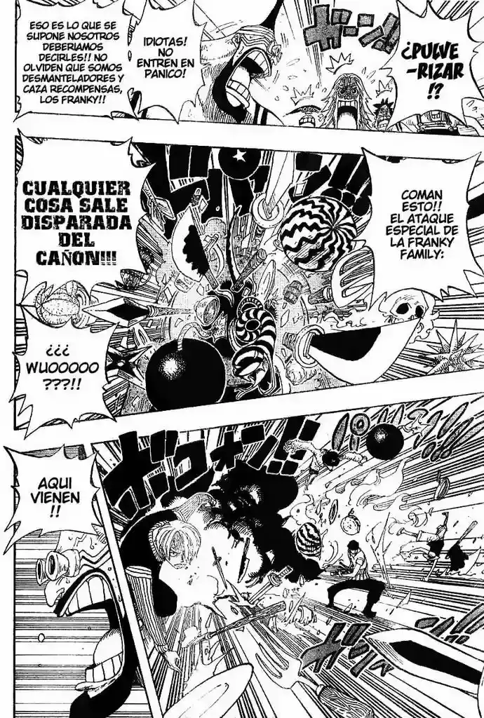 One Piece Capitulo 330 página 13