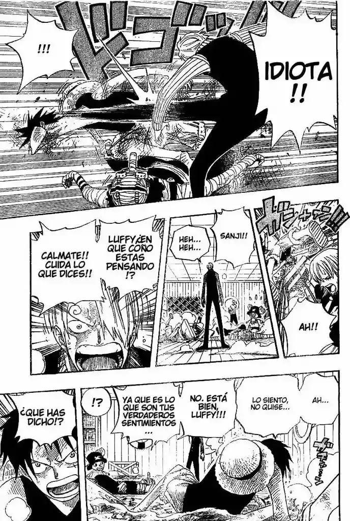 One Piece Capitulo 331 página 15