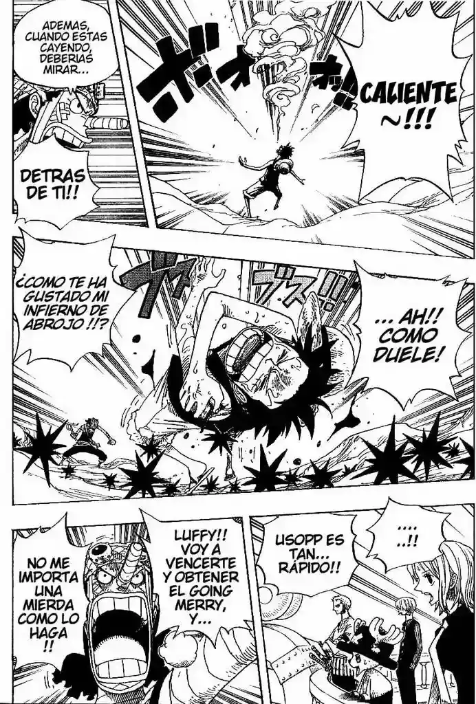 One Piece Capitulo 332 página 13