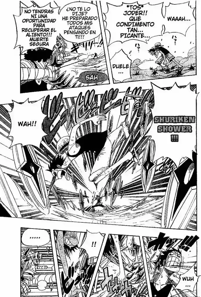 One Piece Capitulo 332 página 14