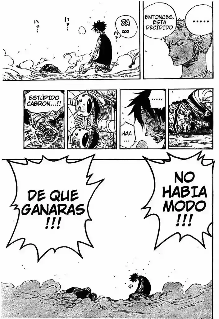 One Piece Capitulo 333 página 13