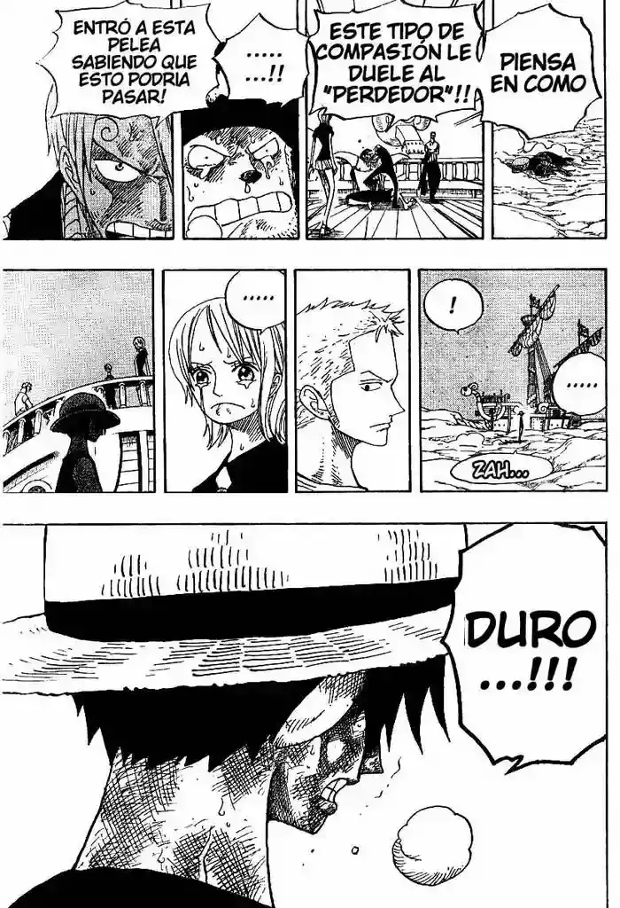 One Piece Capitulo 333 página 17