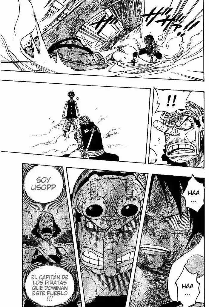 One Piece Capitulo 333 página 9