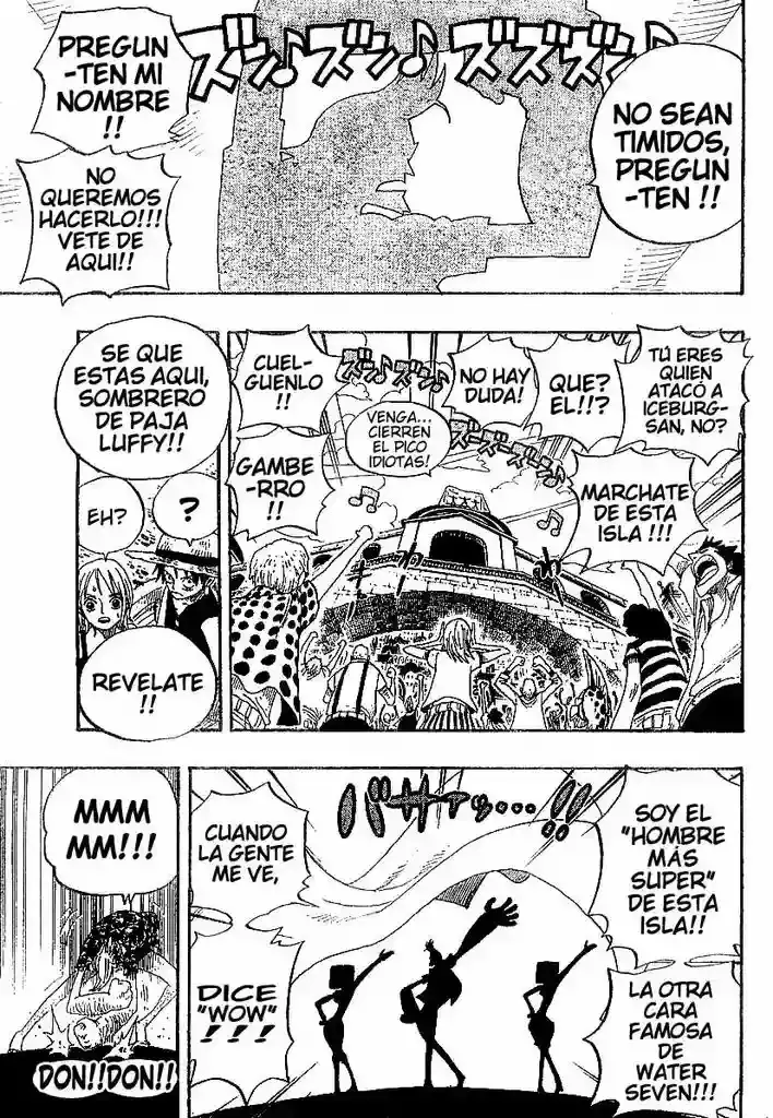 One Piece Capitulo 335 página 13