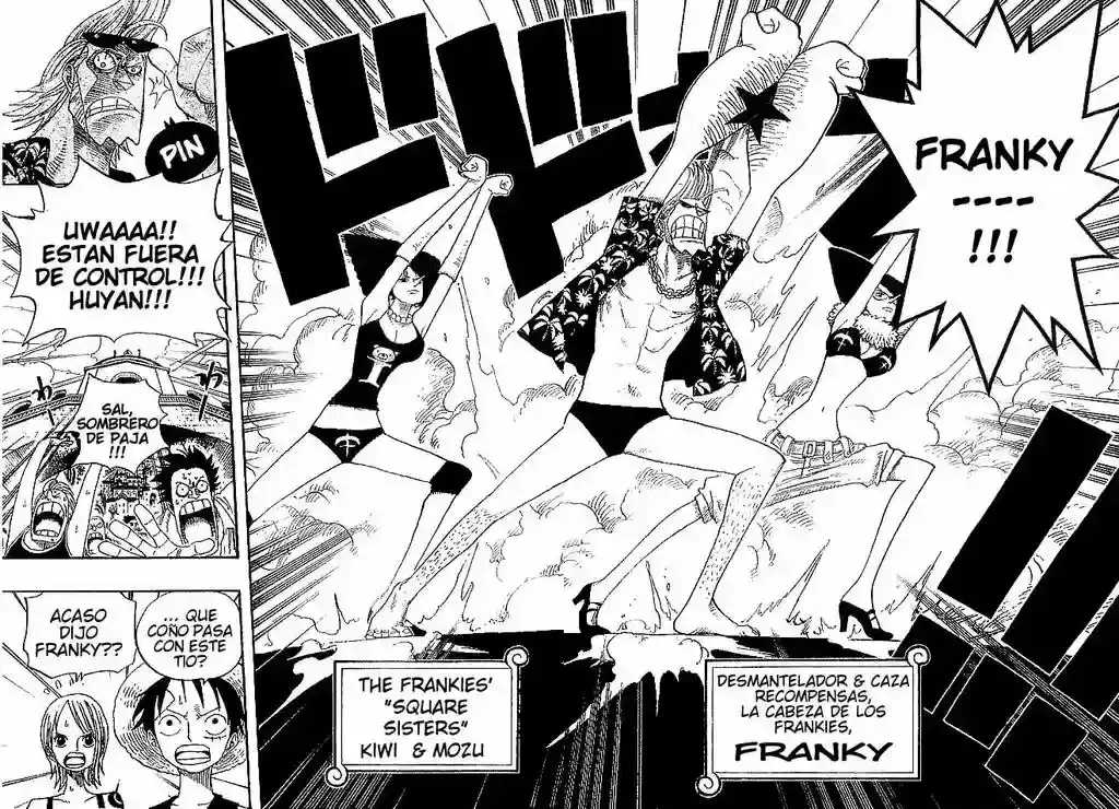 One Piece Capitulo 335 página 14