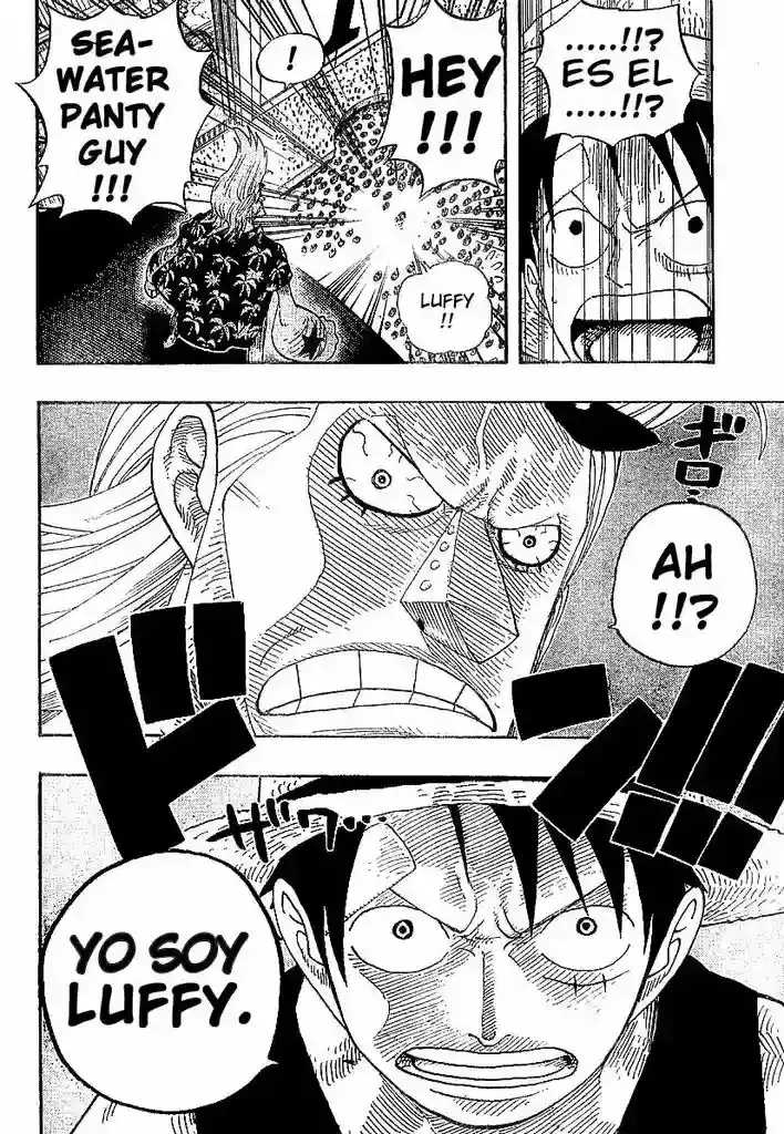 One Piece Capitulo 335 página 15