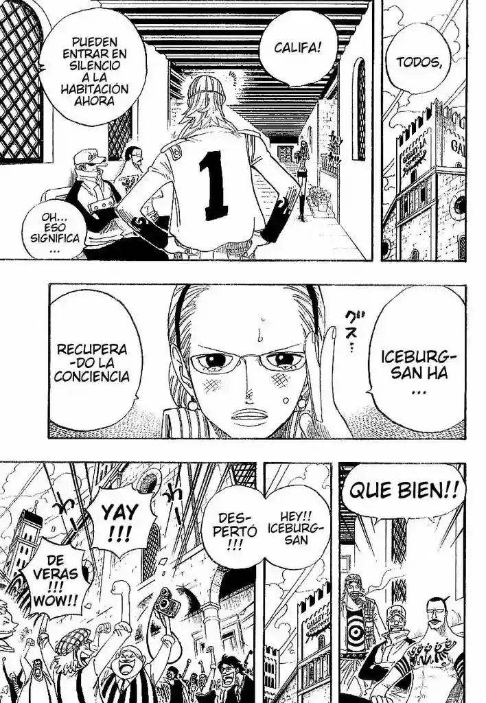 One Piece Capitulo 335 página 16