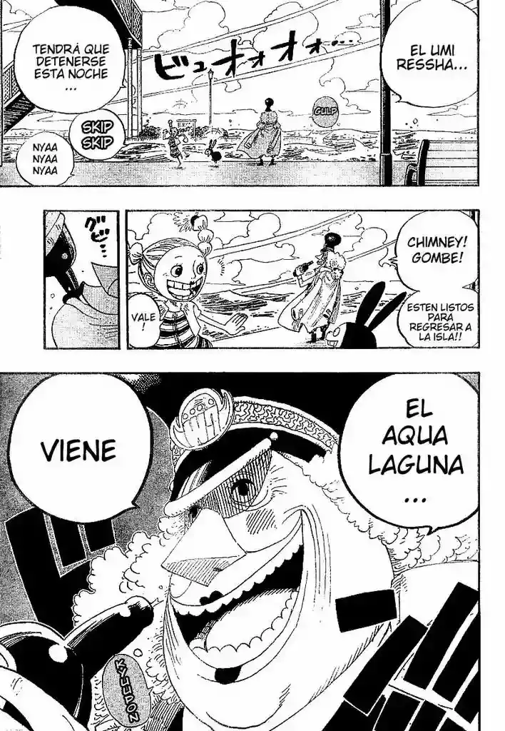 One Piece Capitulo 335 página 5