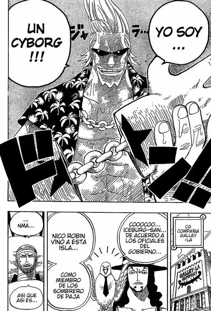 One Piece Capitulo 336 página 10