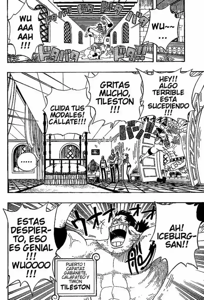 One Piece Capitulo 336 página 12