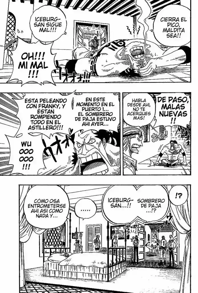 One Piece Capitulo 336 página 13