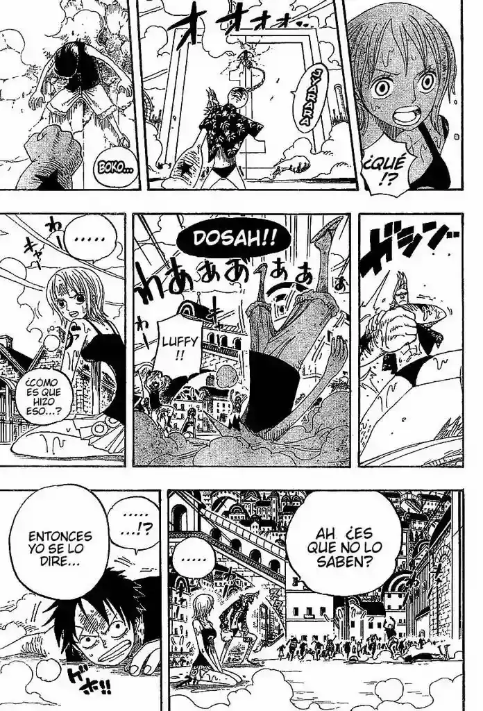 One Piece Capitulo 336 página 9