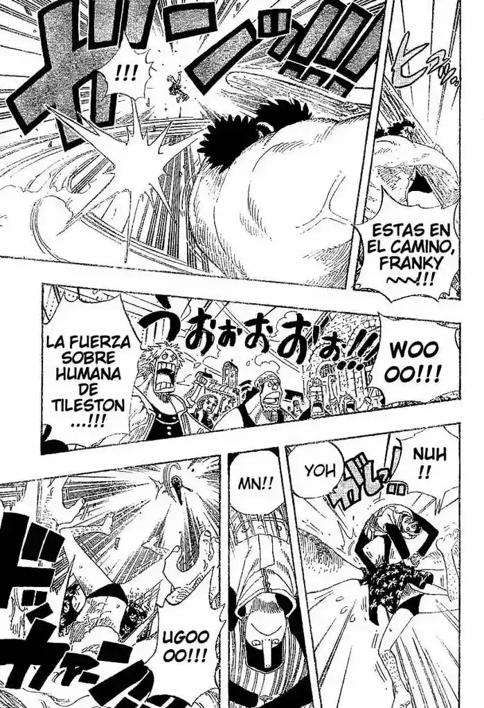 One Piece Capitulo 337 página 11