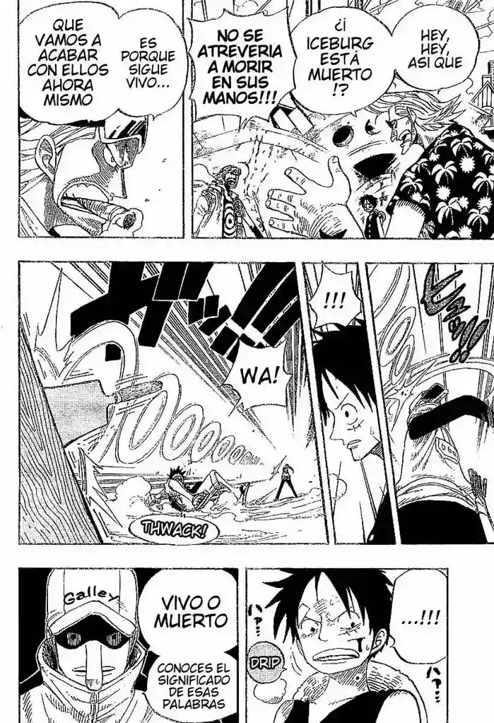 One Piece Capitulo 337 página 16