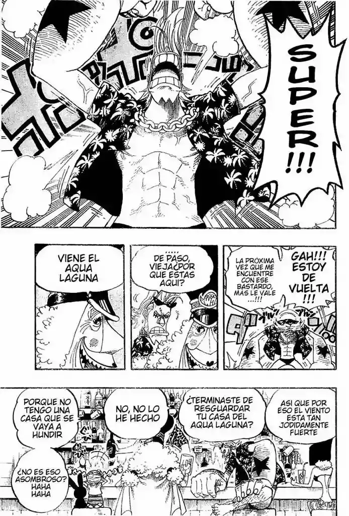 One Piece Capitulo 339 página 15