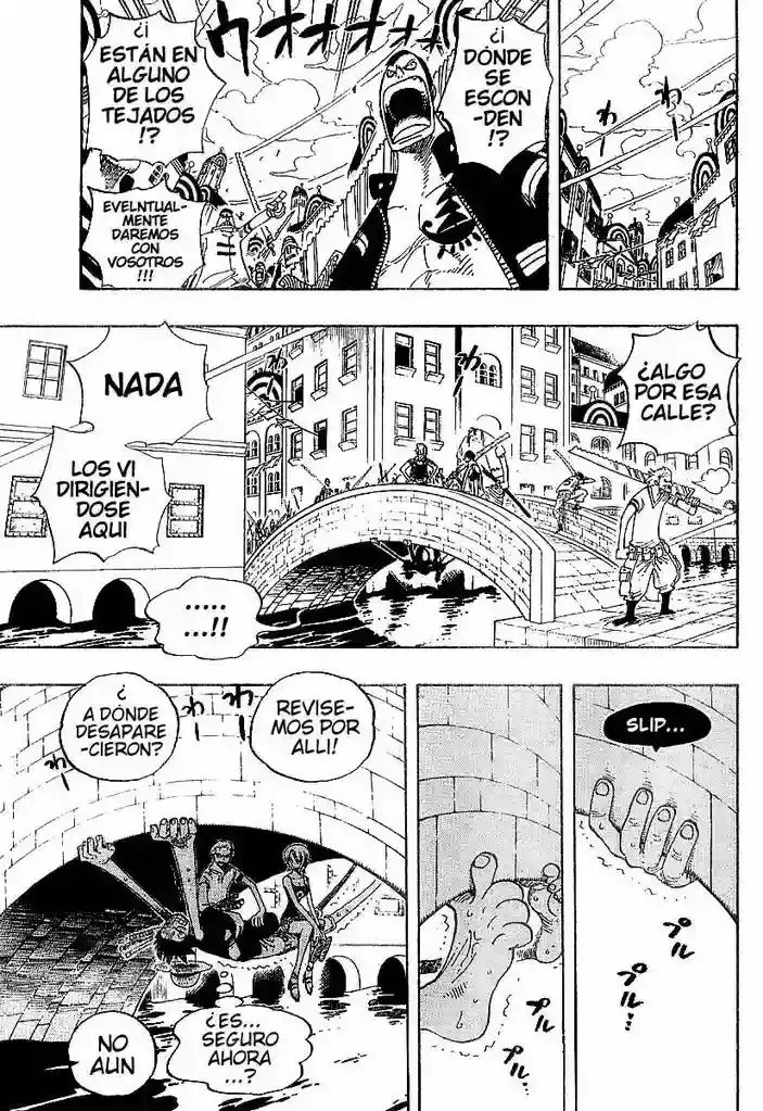One Piece Capitulo 340 página 17