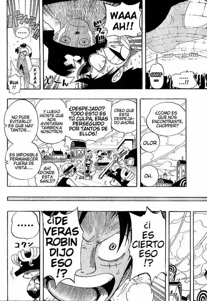 One Piece Capitulo 340 página 18
