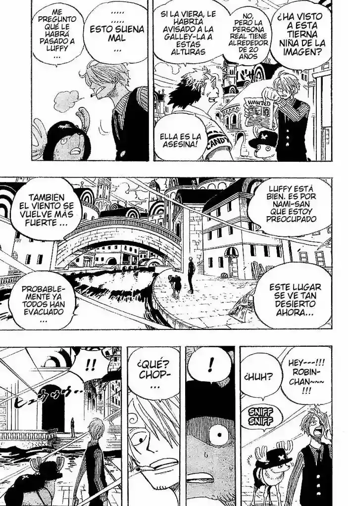 One Piece Capitulo 340 página 9