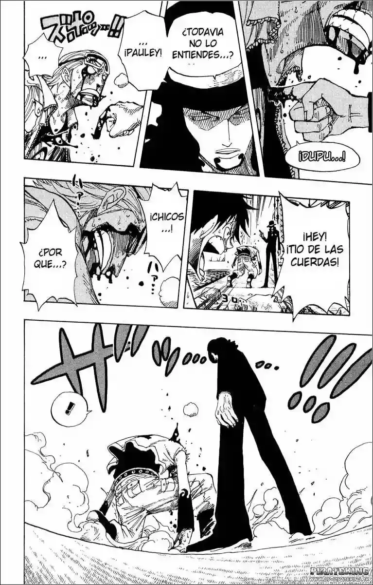 One Piece Capitulo 347 página 17