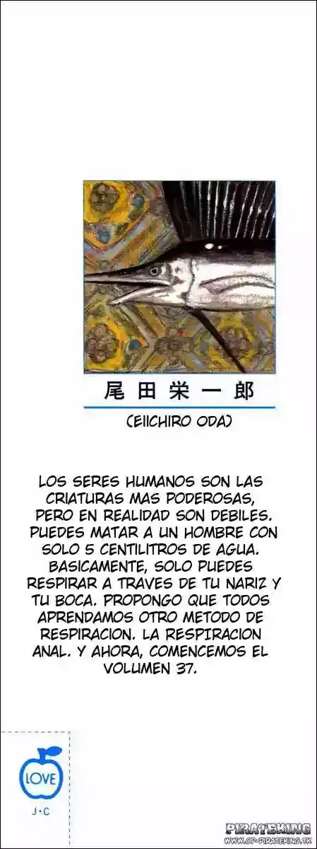 One Piece Capitulo 347 página 2
