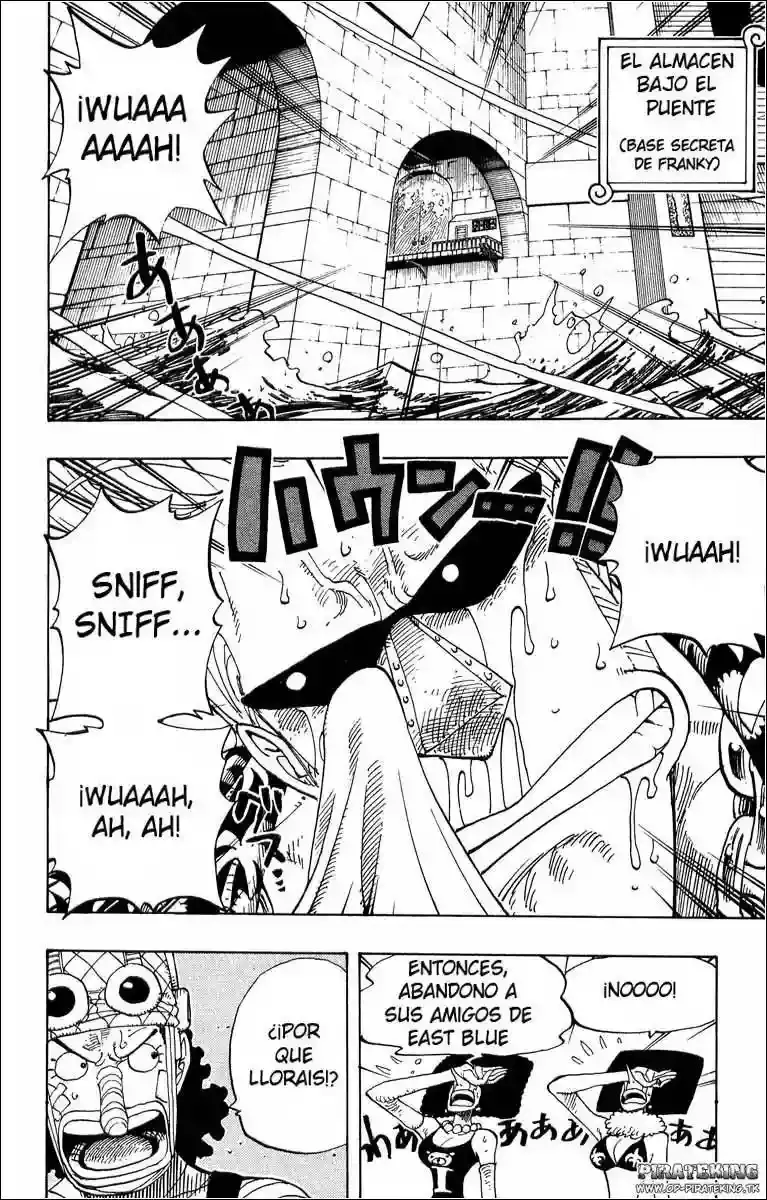 One Piece Capitulo 350 página 8
