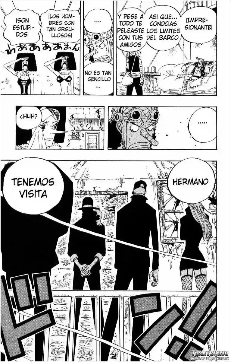 One Piece Capitulo 351 página 19
