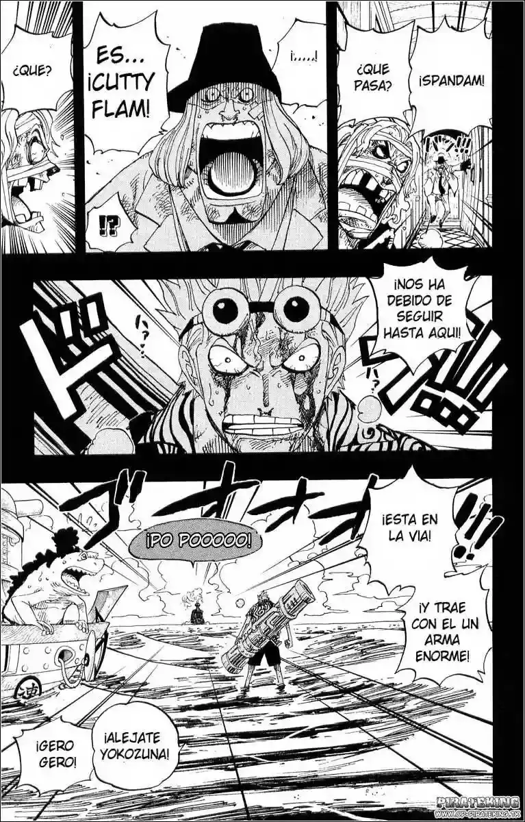 One Piece Capitulo 357 página 17