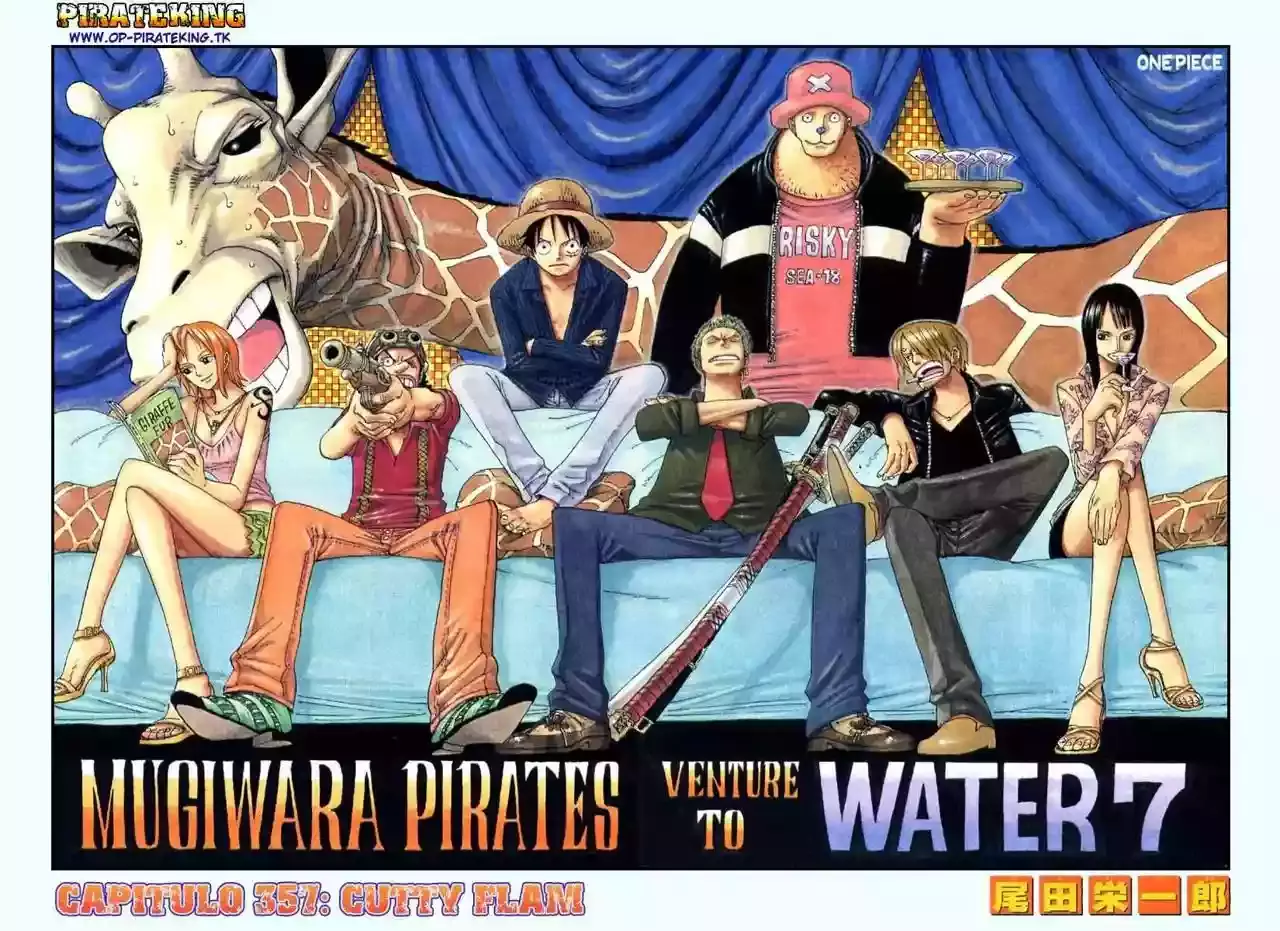 One Piece Capitulo 357 página 28