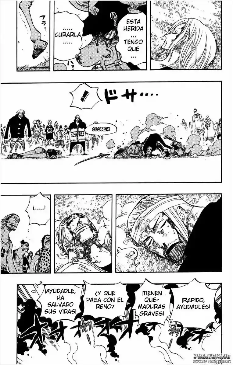 One Piece Capitulo 358 página 29