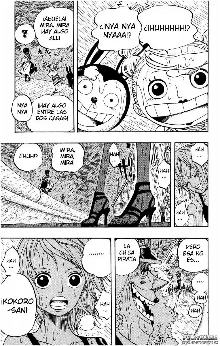One Piece Capitulo 362 página 17