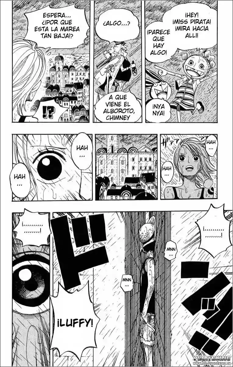 One Piece Capitulo 362 página 18