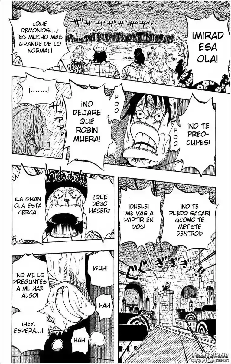 One Piece Capitulo 363 página 10