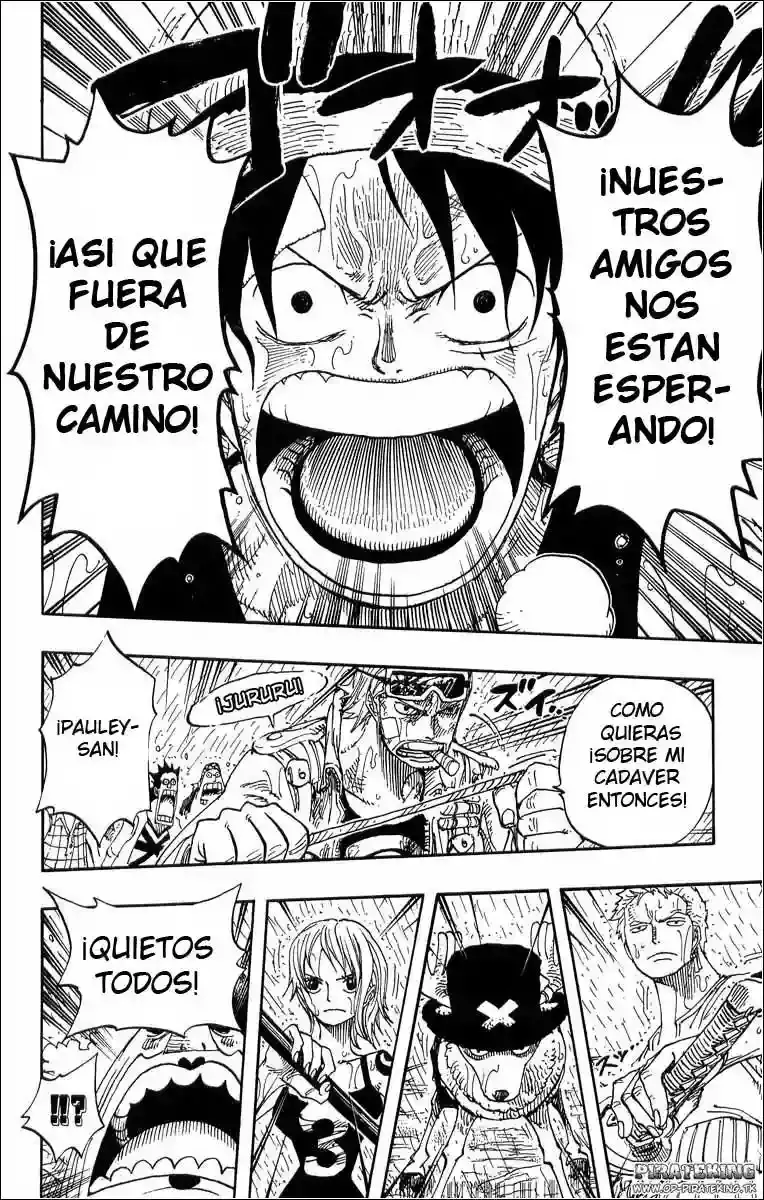 One Piece Capitulo 364 página 17