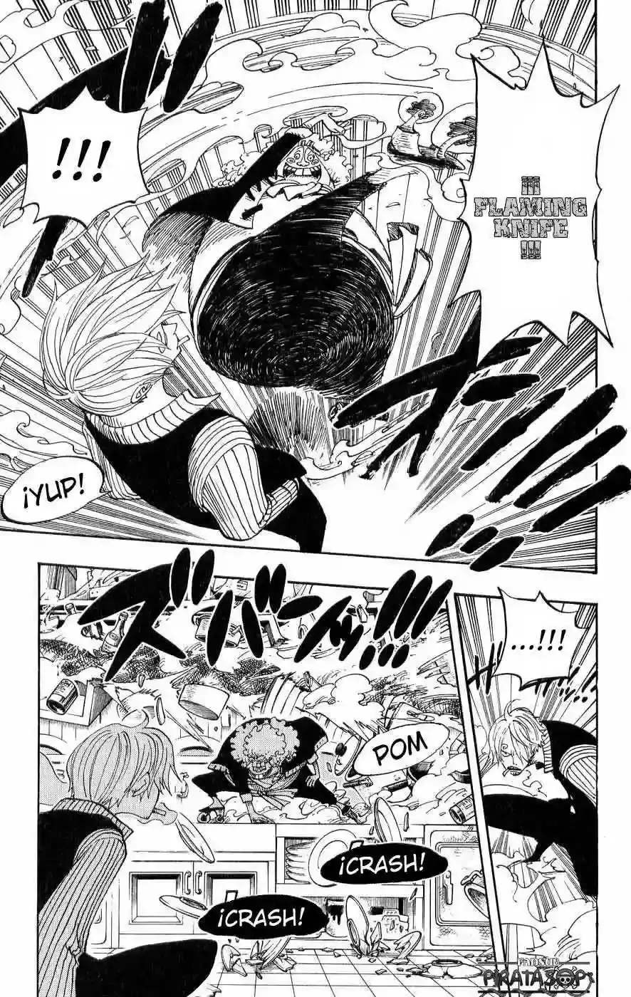 One Piece Capitulo 369 página 13
