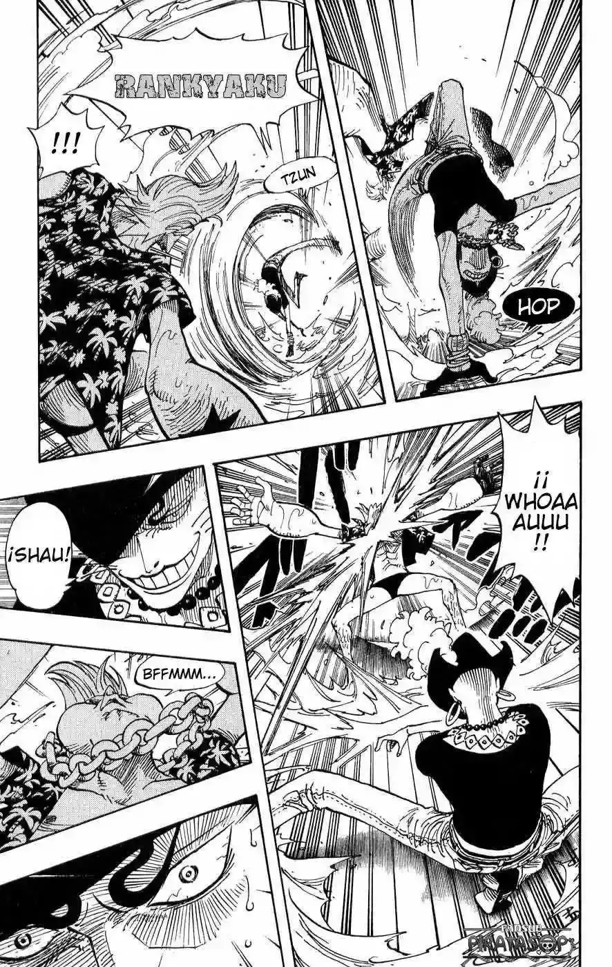 One Piece Capitulo 370 página 17