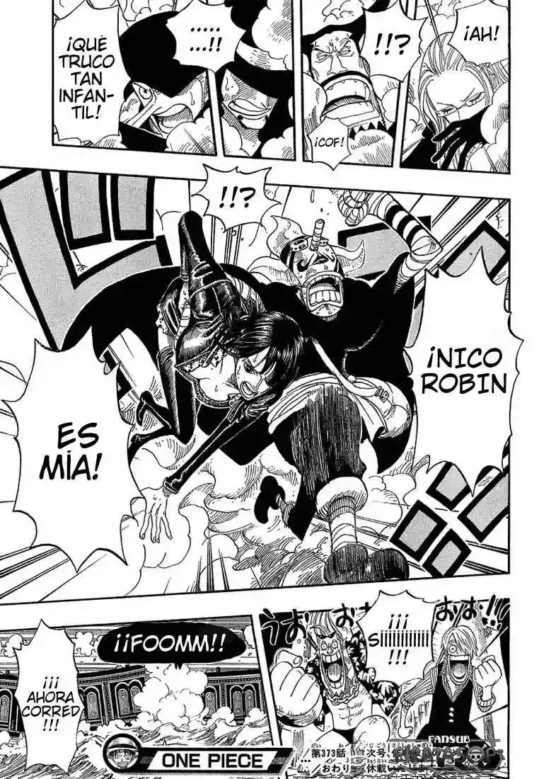 One Piece Capitulo 373 página 17