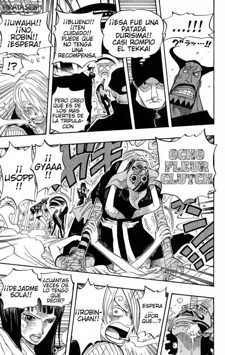 One Piece Capitulo 374 página 9