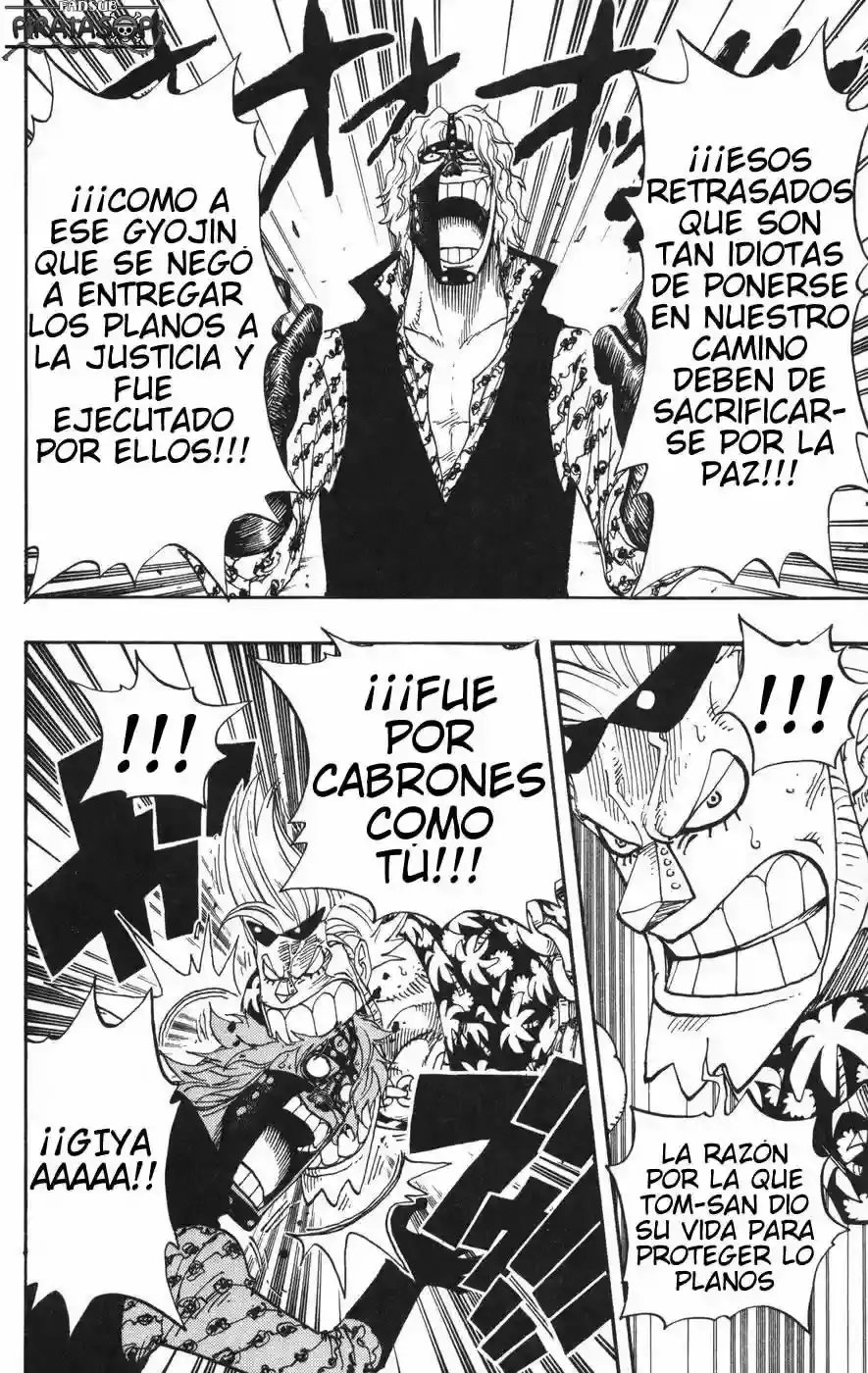 One Piece Capitulo 379 página 13