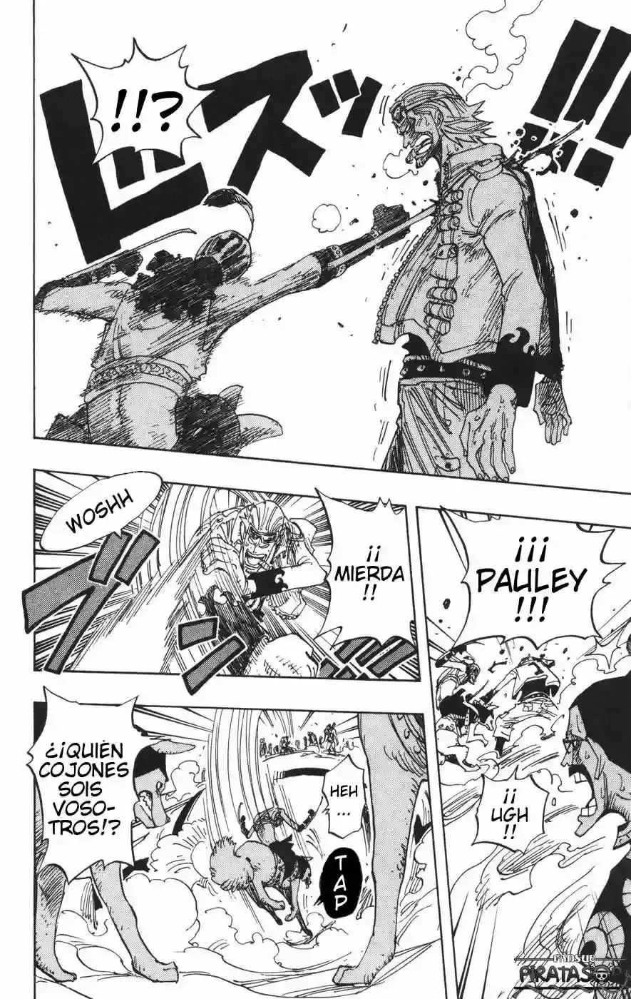 One Piece Capitulo 380 página 13
