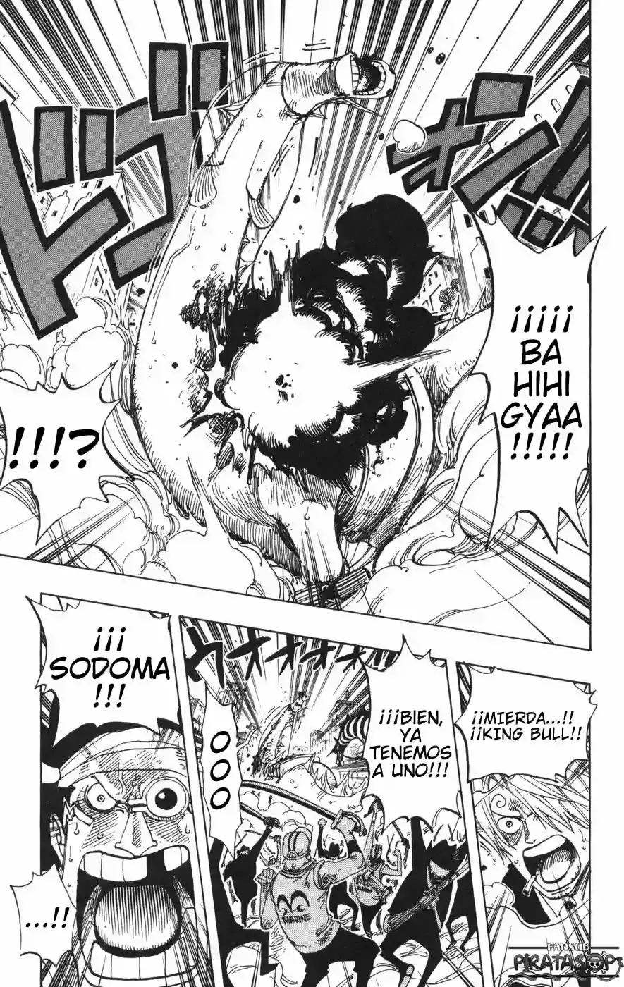 One Piece Capitulo 383 página 16