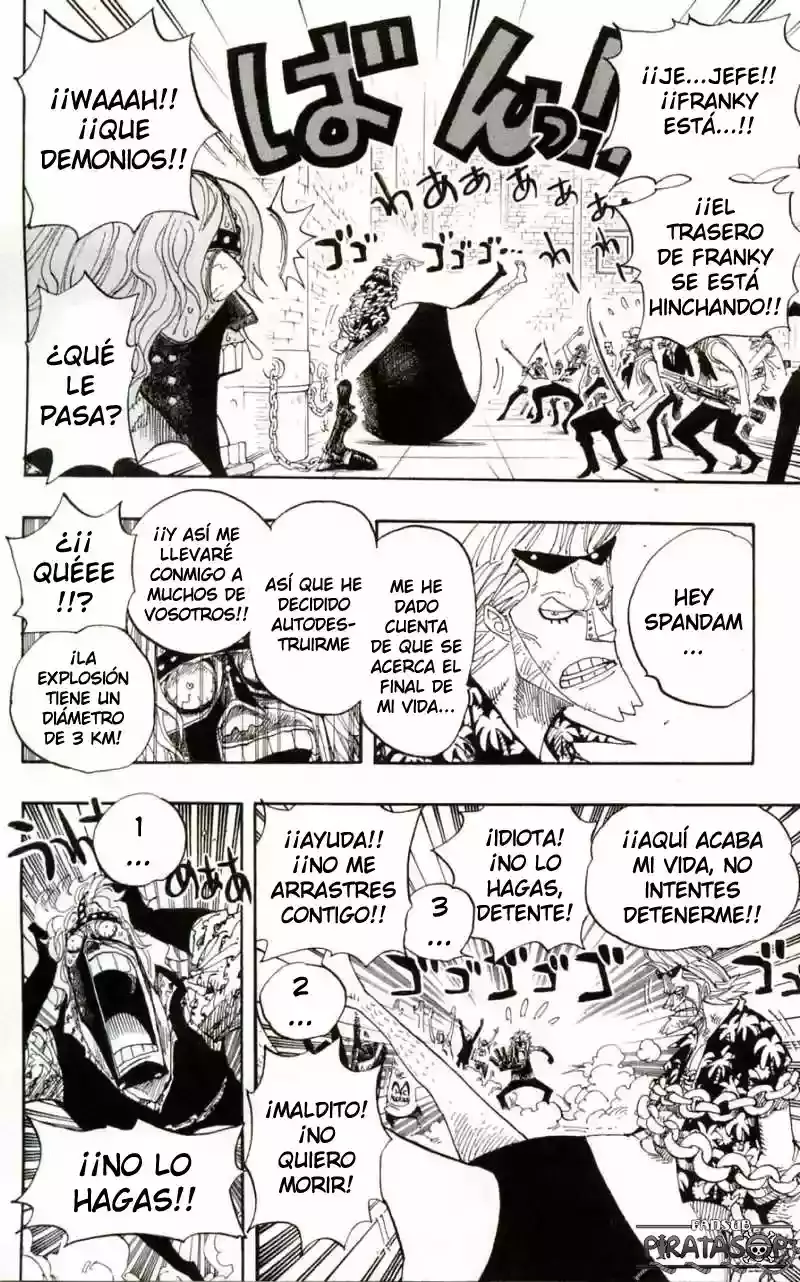 One Piece Capitulo 389 página 13