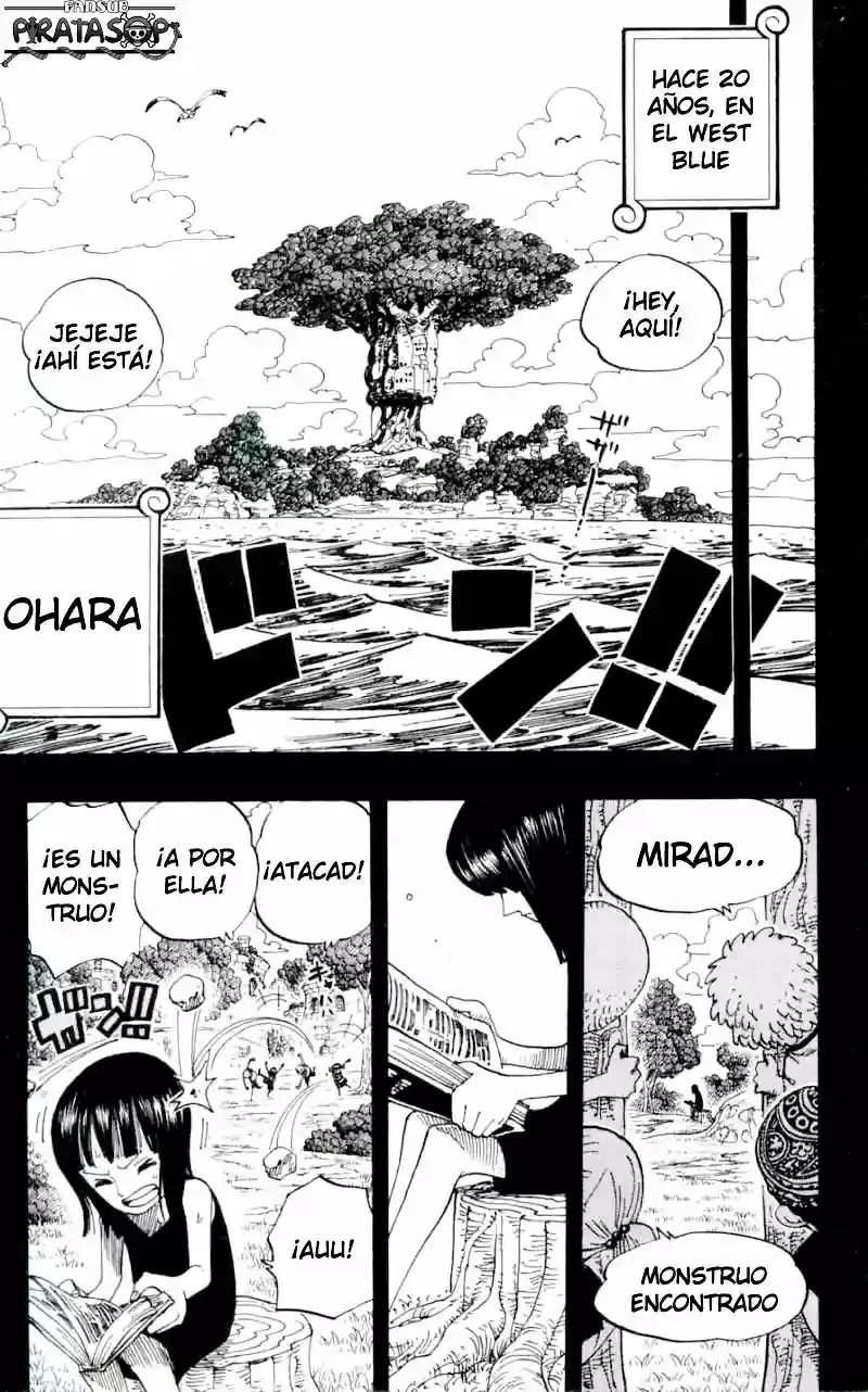 One Piece Capitulo 391 página 13