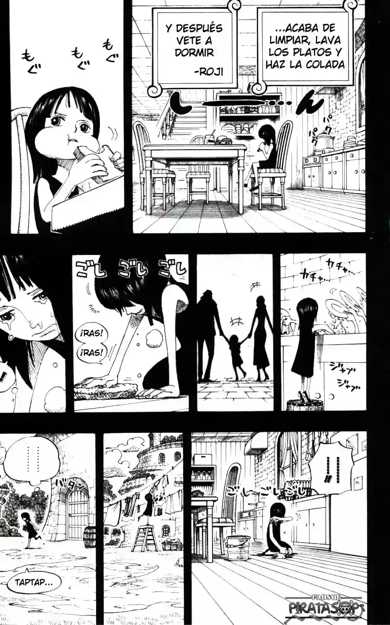 One Piece Capitulo 391 página 17