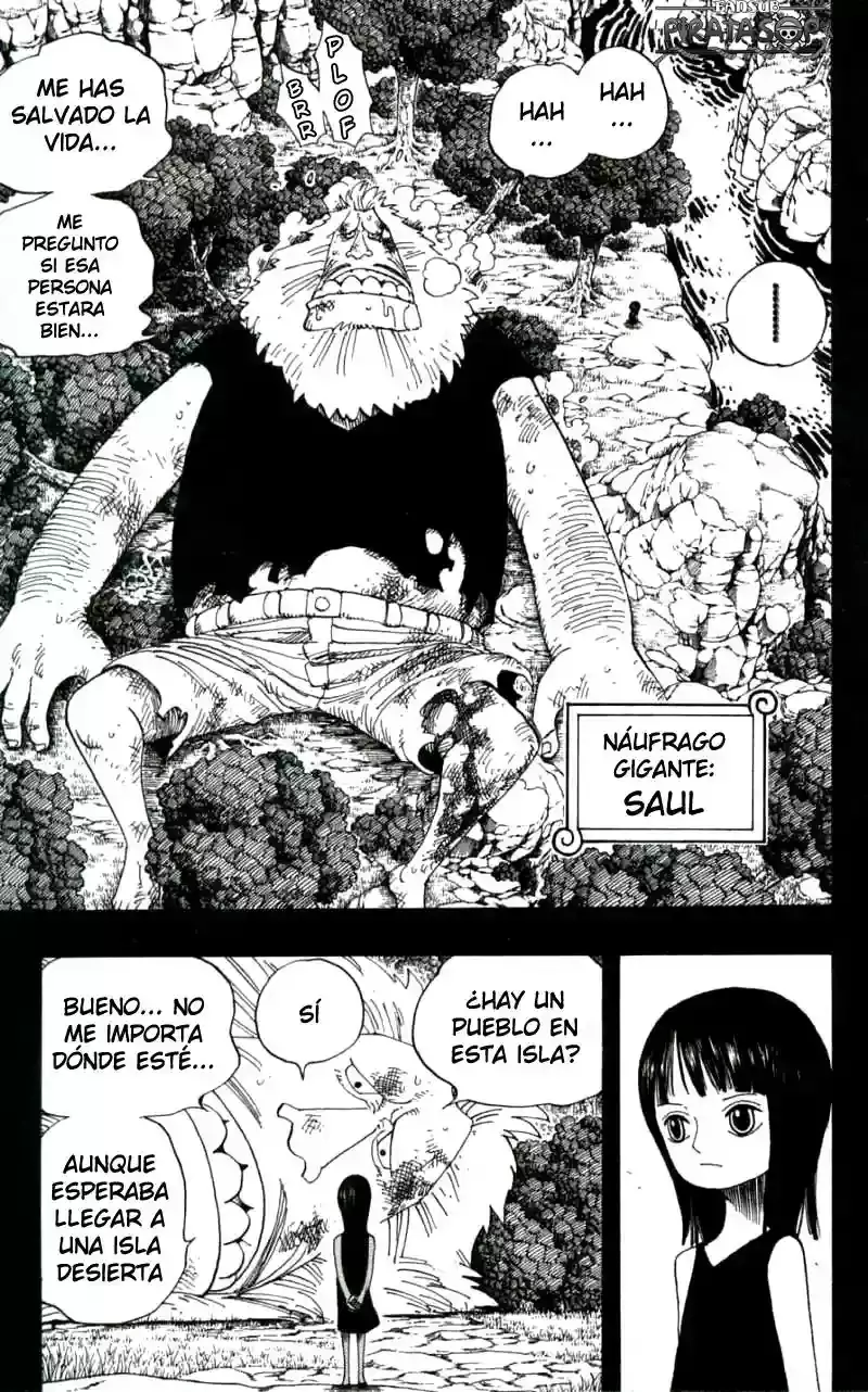 One Piece Capitulo 392 página 11
