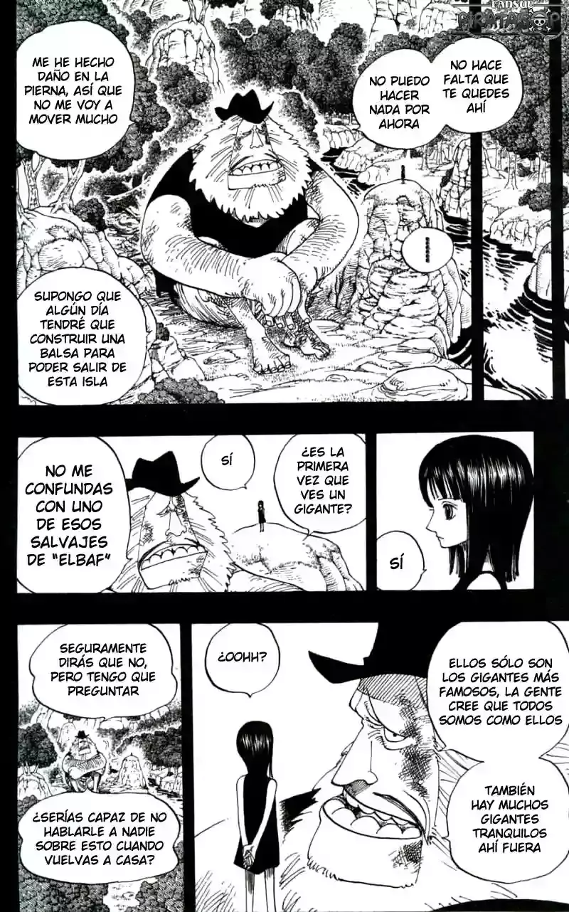 One Piece Capitulo 392 página 12