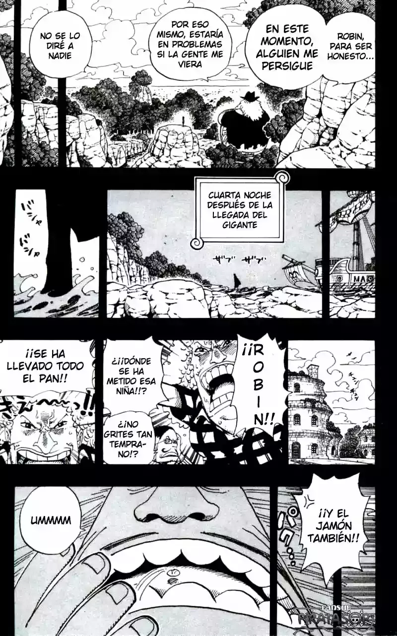 One Piece Capitulo 392 página 15