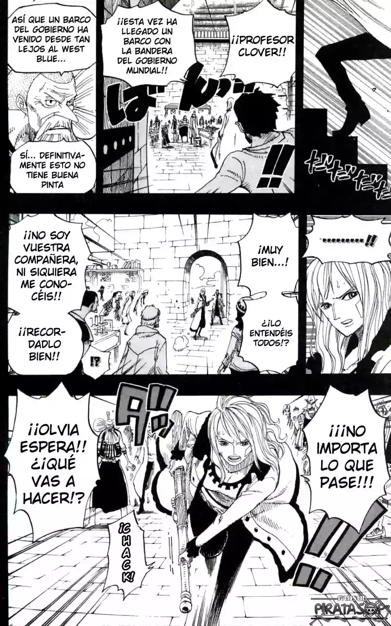 One Piece Capitulo 393 página 16